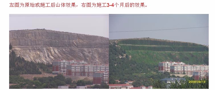 2009年濟(jì)南某山體復(fù)綠工程