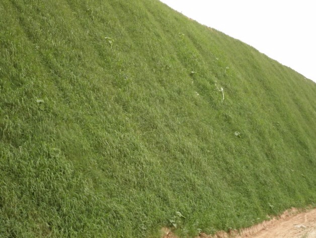 西峽到武陟高速公路滎陽段，恒睿客土噴播機邊坡綠化施工現(xiàn)場及綠化效果