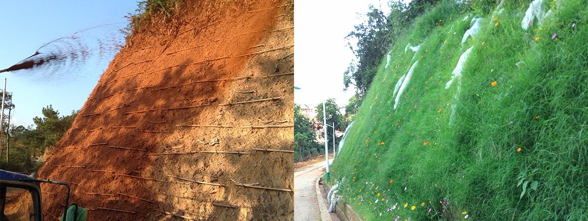 福建龍巖大錦山高次團粒噴播