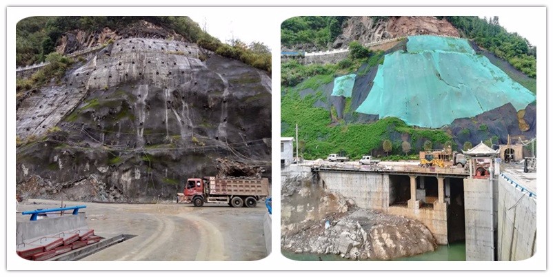 2017陜西安康南江湖水電站綠化項目