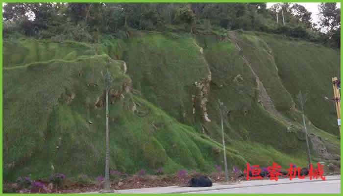 邊坡綠化的生態特點