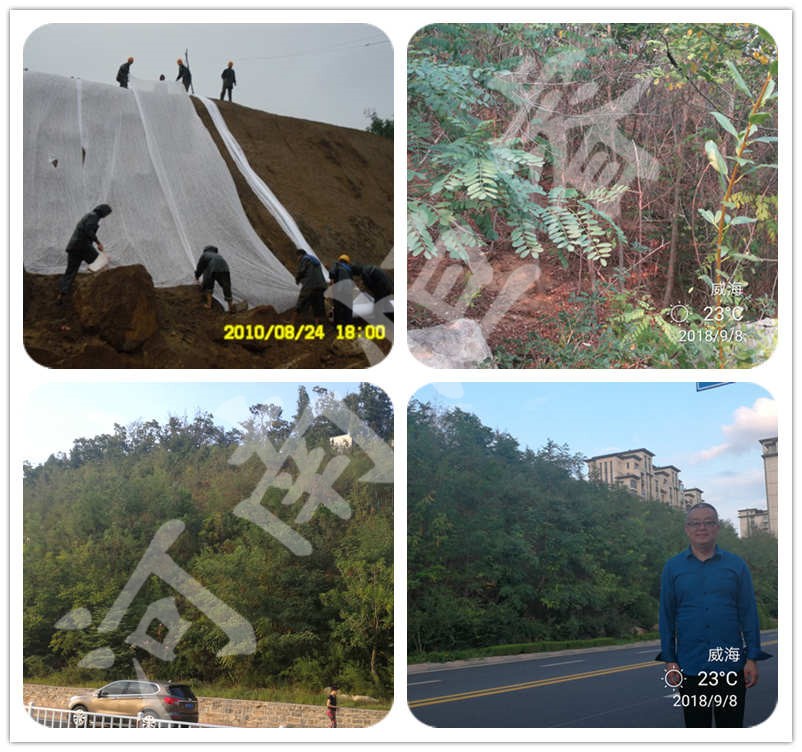 2010年山東省威海市國際鐵人三項賽事景觀道路邊坡綠化項目