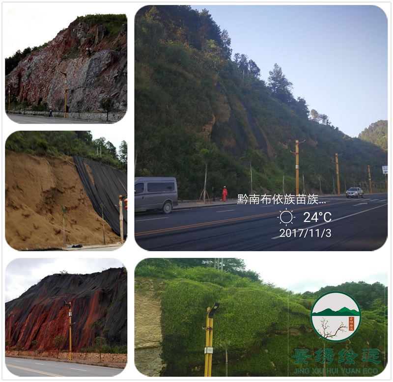 邊坡綠化 邊坡綠化