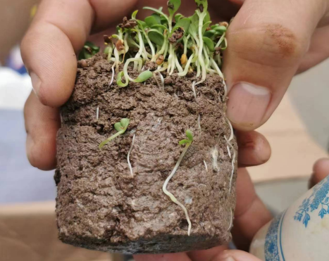 恒睿生態海綿土壤成型劑